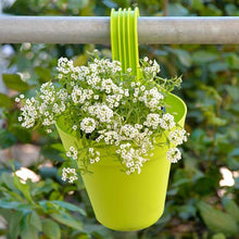 Hanging planter pot with multicolors